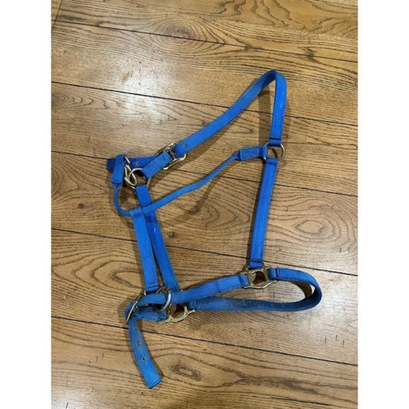 Draft Horse Halter Royal Blue - Picture 6 of 7